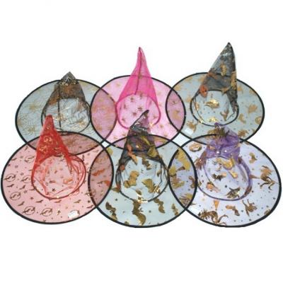  Колпак Ведьмы сетчатый 