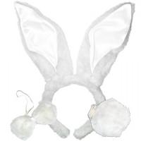  Набор Зайчика белый 